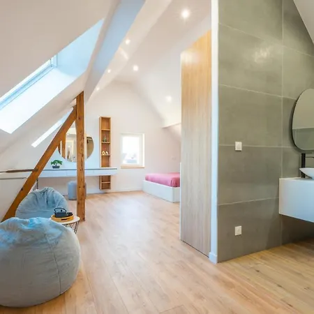 Magnifique Maison Neuve * Lingolsheim